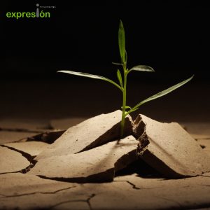 Crecer en el enfado
